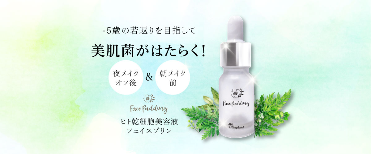 レスプロンド　FACE PUDDING フェイスプリン　美容液